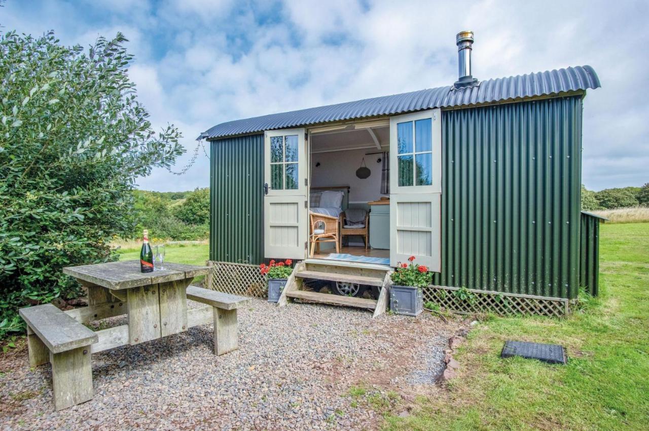 Haven View - 1 Bedroom Shepherds Hut - St Ishmaels Saint Ishmaels  Zewnętrze zdjęcie