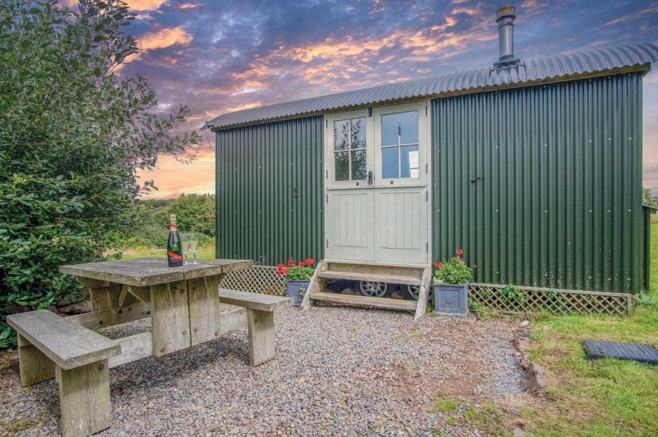 Haven View - 1 Bedroom Shepherds Hut - St Ishmaels Saint Ishmaels  Zewnętrze zdjęcie