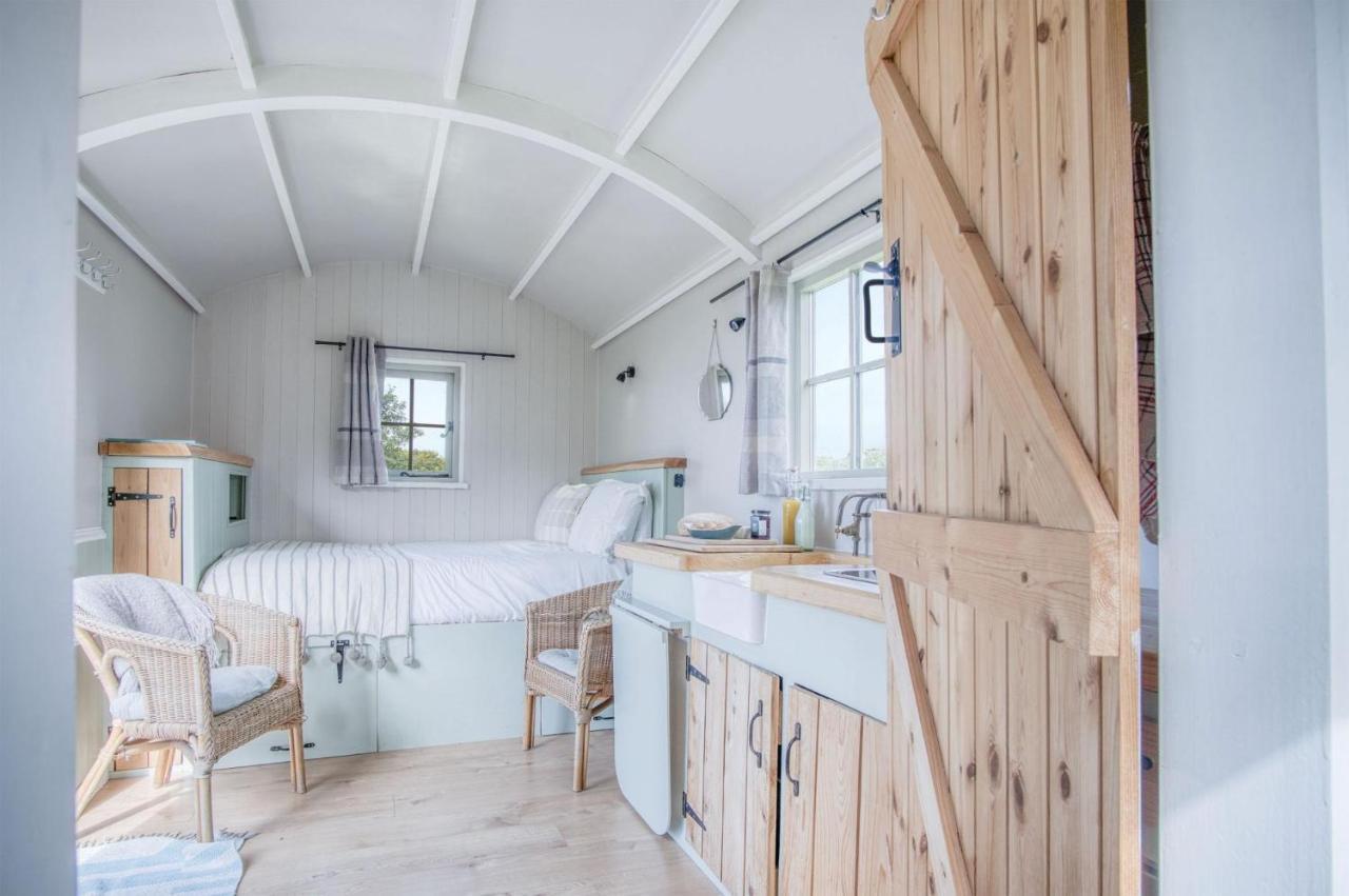 Haven View - 1 Bedroom Shepherds Hut - St Ishmaels Saint Ishmaels  Zewnętrze zdjęcie